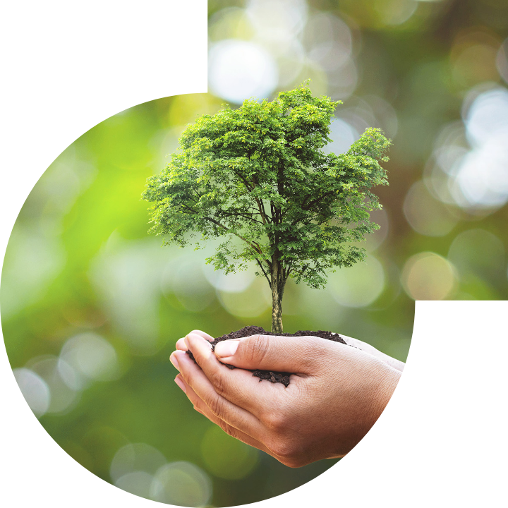 关怀人类、文化、环境与社会